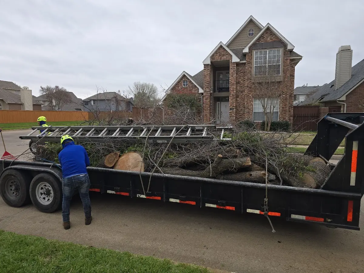 Expert Tree Pest Control with proper safety equipment in Davenport